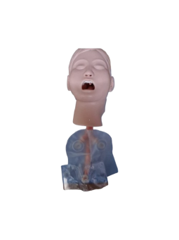 CHILD TRACHEAL INTUBATION MODEL 